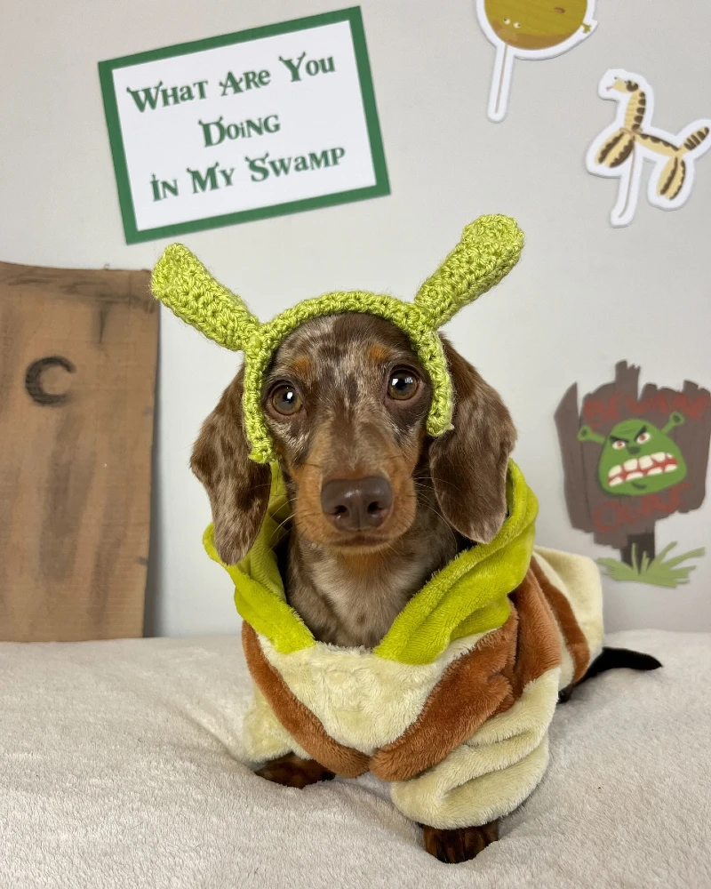 8. Shrek-inspired Green Ear Hood with Cozy Swamp Outfit
