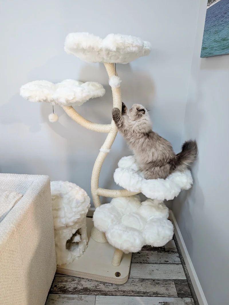 All-White Cloud Perch Tower with Integrated Low Hideaway