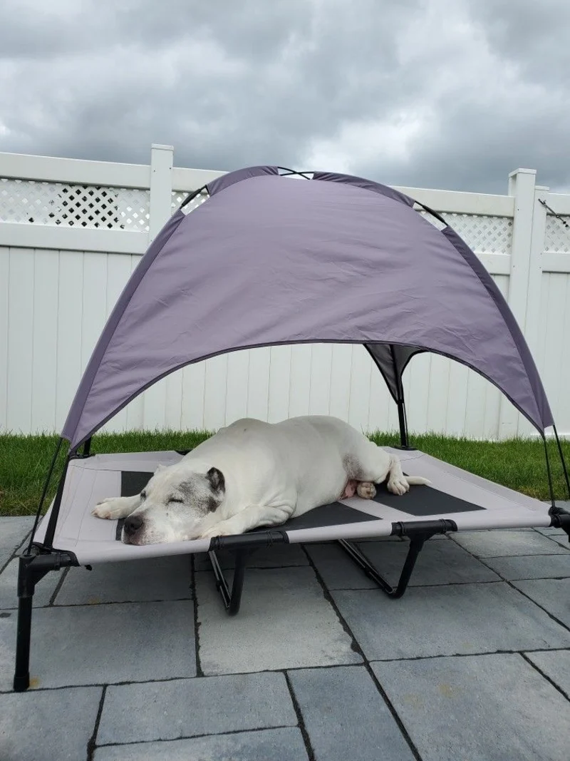 Arched Lavender-Grey Canopy Cot on Stone Patio