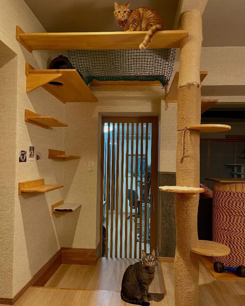 Architectural Doorway Bridge with Safety Netting