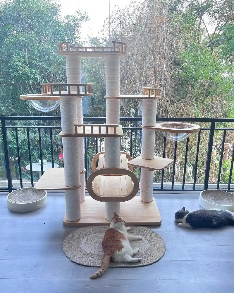 Architectural Plywood Jungle Gym on Sunlit Balcony
