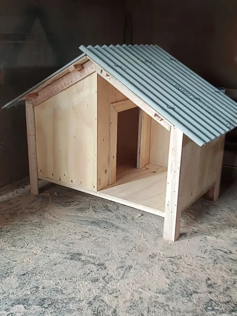 Asymmetrical Plywood Gable House with Elevated Frame and Corrugated Metal Roof