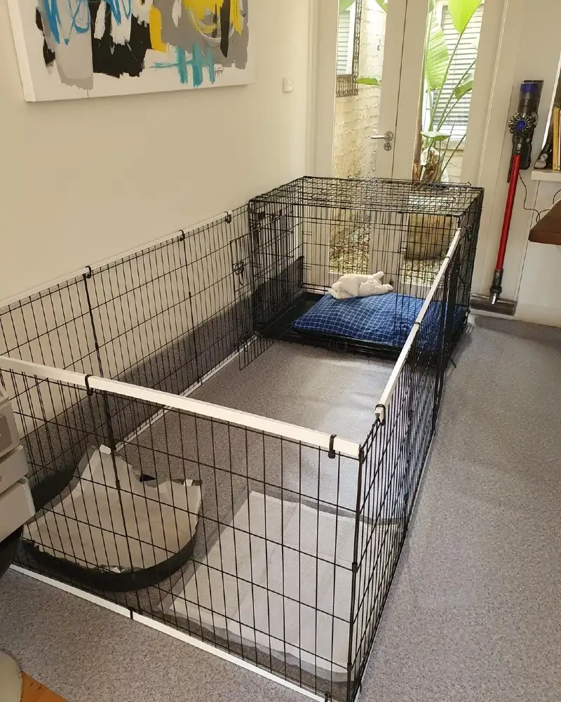 Black Wire Playpen Extension with Blue Plaid Bedding and Glass French Doors