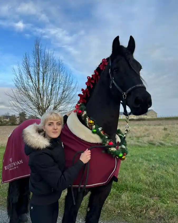 Braided Red Bows and Ornamented Garland on a Black Friesian Horse