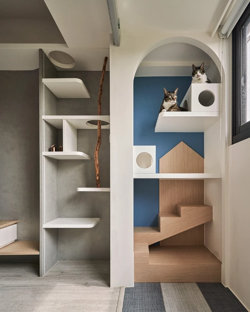 Built-In Arched Wall Alcove and Slatted Climbing Shelves