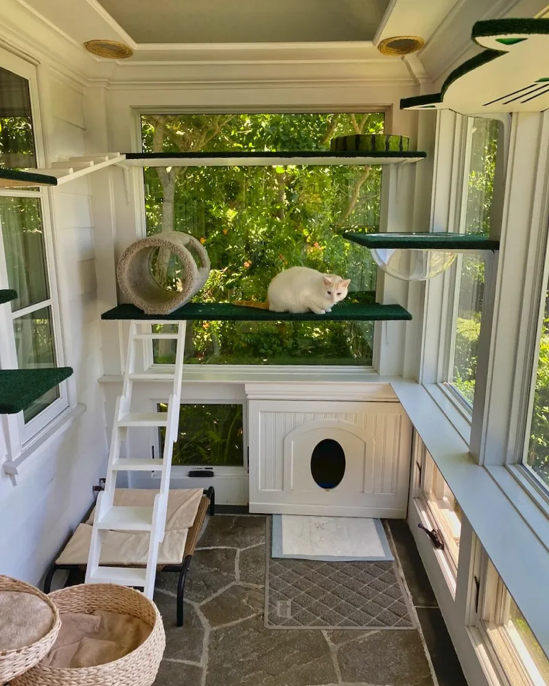 Built-In White Wainscoted Cat House with Floating Green-Carpeted Perches and Climbing Ladder