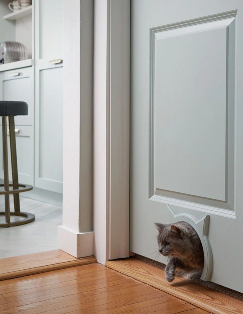 Cat-Shaped Trim Pass-Through on Pale Sage Green Paneled Door