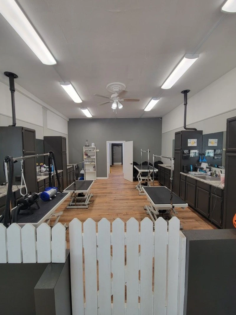 Charcoal Cabinet Workstations with White Picket Safety Gate and Linear LED Overhead Lighting