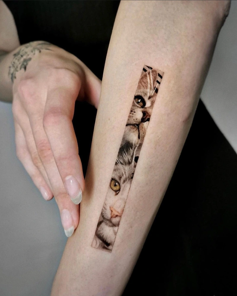 Cinematic Panel Realistic Dual Cat Portrait Tattoo on the Inner Forearm
