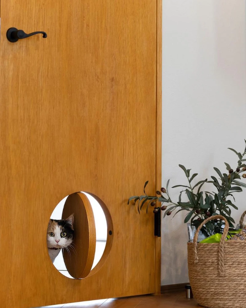 Circular Pivoting Wood Panel Inset in Golden Oak Interior Door