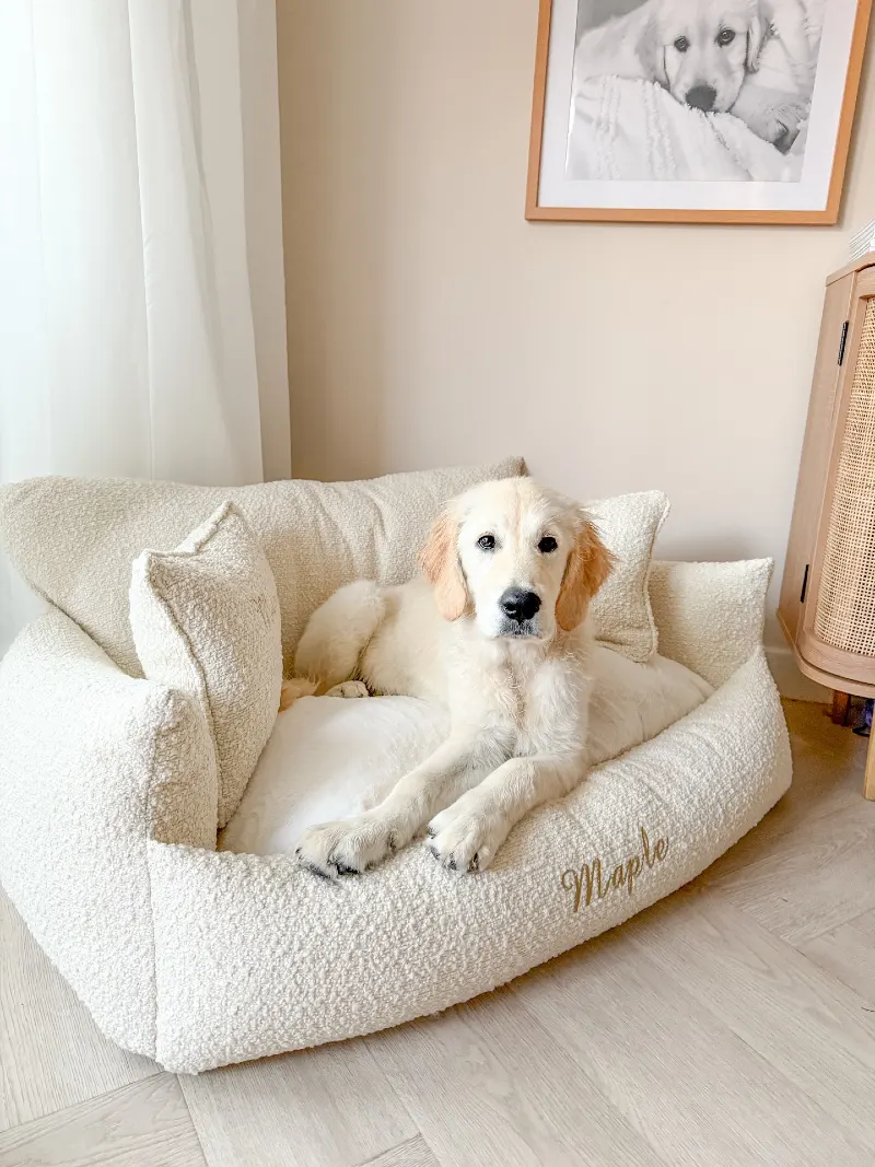 Cream BouclΓ© Sofa Bed with Matching Throw Pillows
