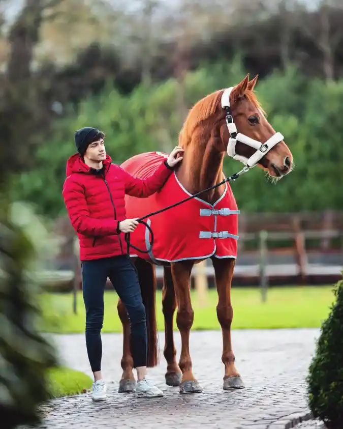 Crimson Winter Blanket and Plush White Fleece Halter on a Chestnut Horse