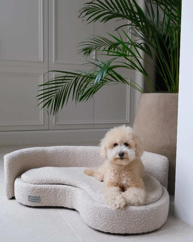 Curved Cream BouclΓ© Wave Bed beside a Large Planter