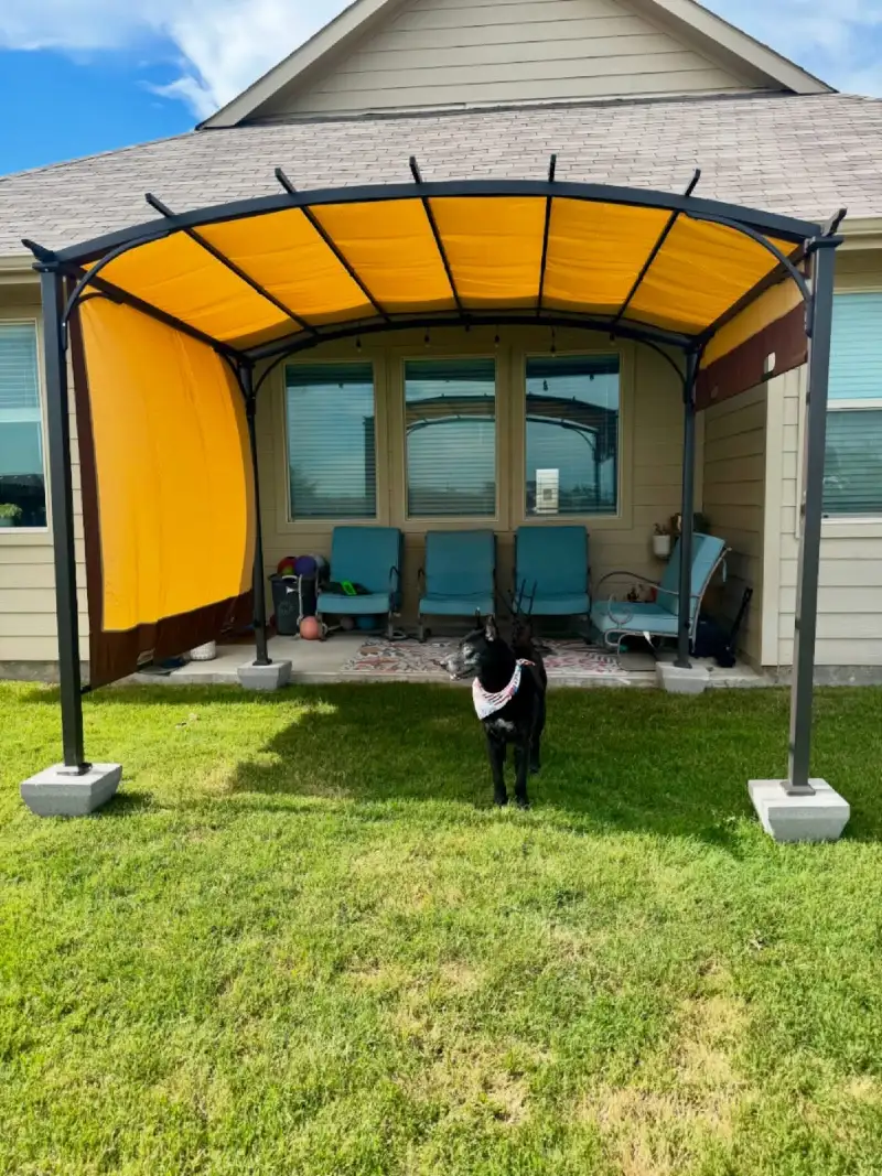 Curved Yellow Canopy Pergola on a Green Lawn