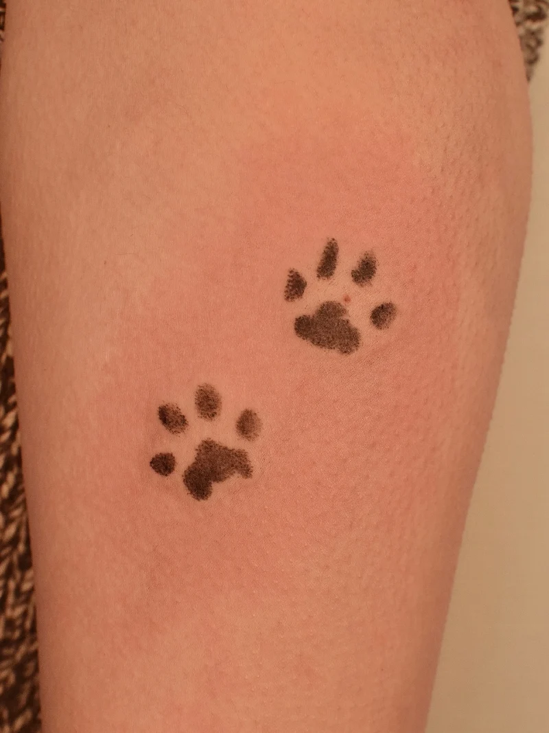 Dainty Double Paw Tracks with Granular Texturing