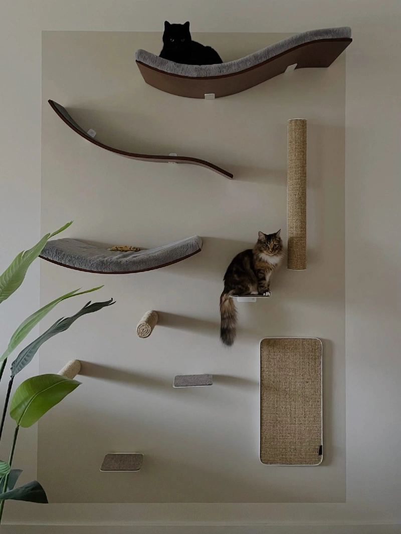Dark Wood Wave Perches with Grey Padding on a Painted Beige Accent Block