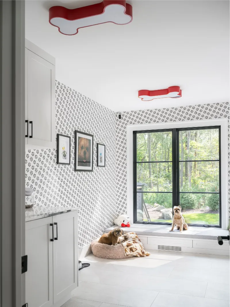 Dedicated Utility Room with Paw-Print Wallpaper and Red Bone Ceiling Lights