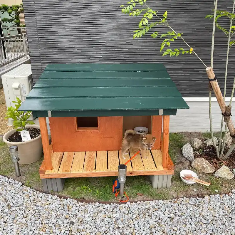 Deep Forest Green Slatted Roof Kennel with Warm Honey Siding and Concrete Block Footers