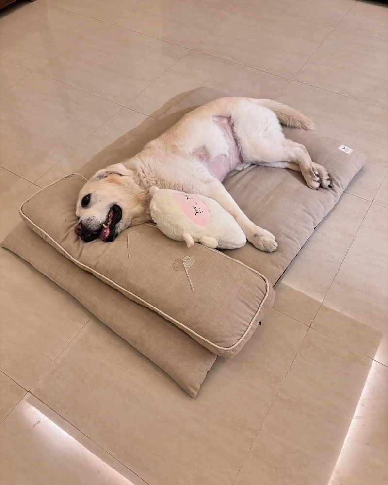 Embroidered Beige Floor Cushion with Integrated Headrest