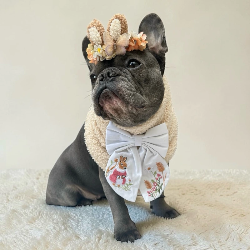 Embroidered Bow and BouclΓ© Snood on a French Bulldog