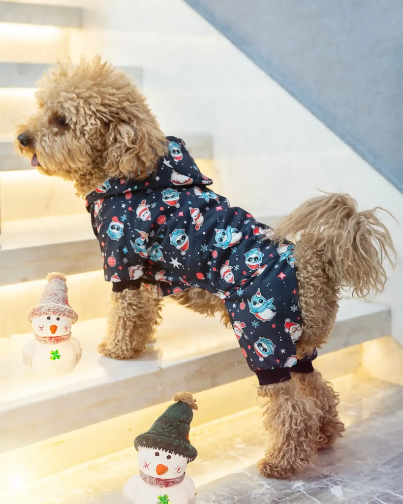 Festive Hooded Romper with Cartoon Print on a Apricot Poodle
