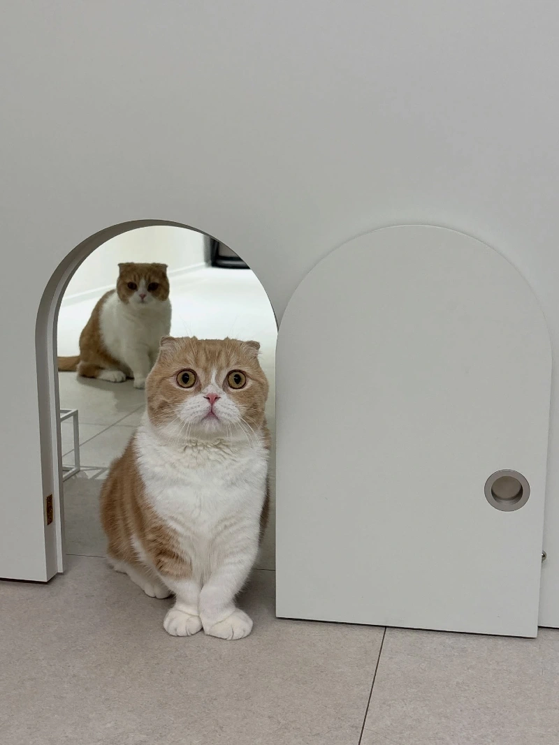 Flush White Arched Doorway with Recessed Metallic Pull Ring