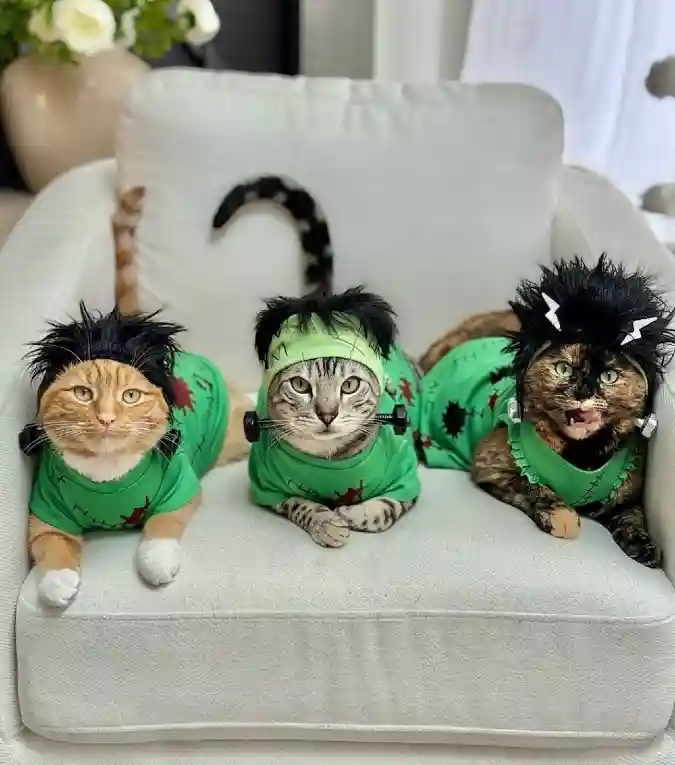 Frankenstein Monster Tees with Spiky Wig Headbands on Three Cats