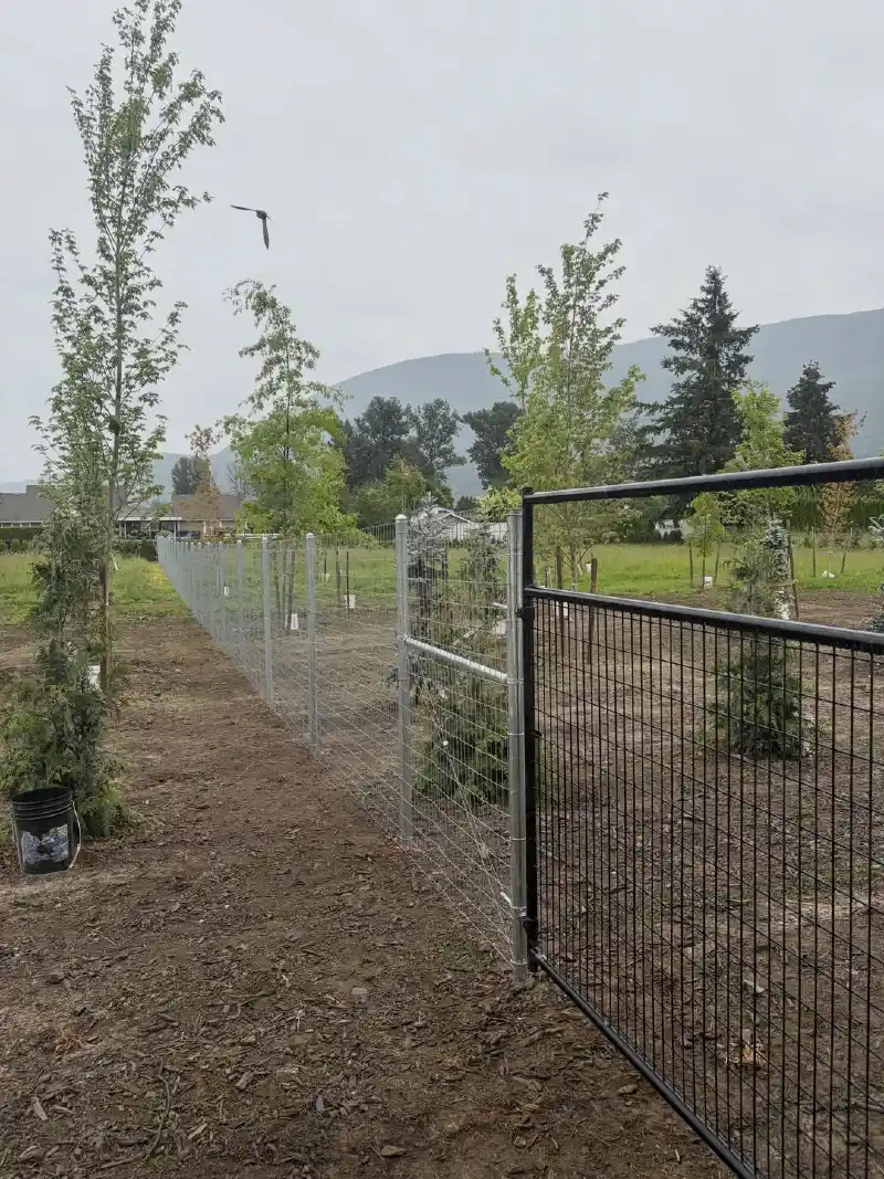 Galvanized Field Fence with Black Metal Gate on Open Acreage