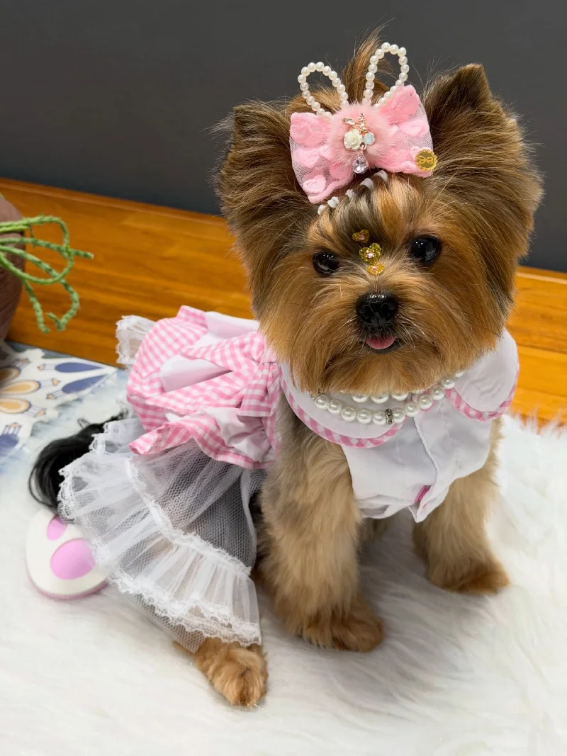 Gingham and Lace Dress with Pearl Bunny Bow on a Yorkshire Terrier