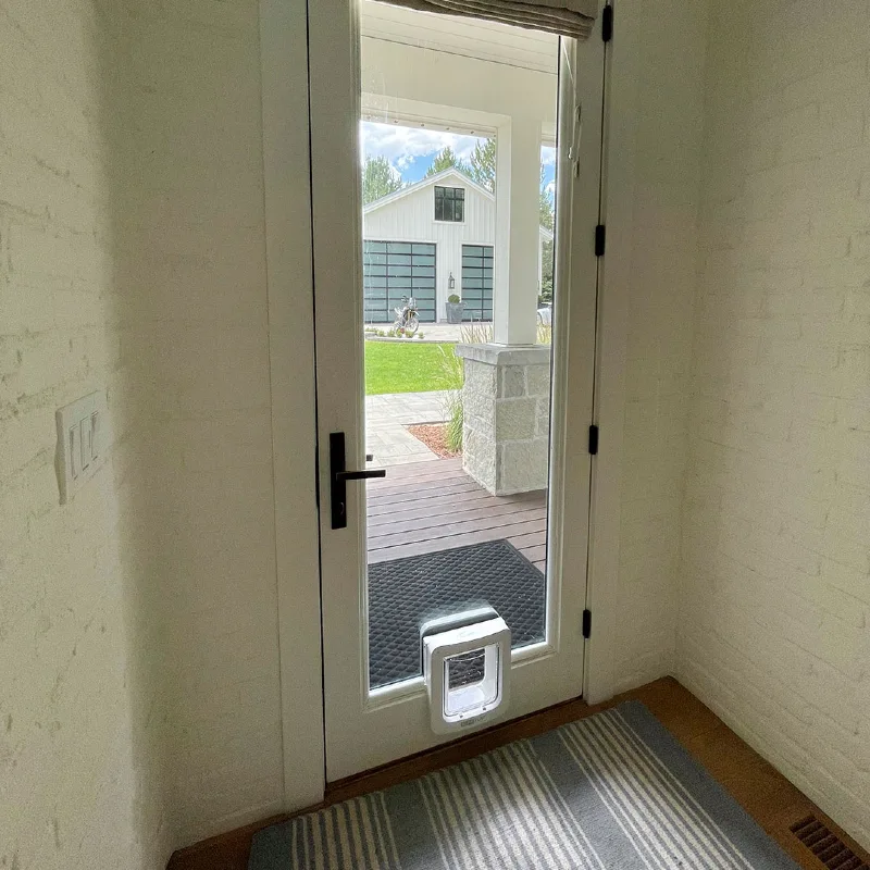 Glass-Paneled Exterior Door with Integrated Clear Pet Flap