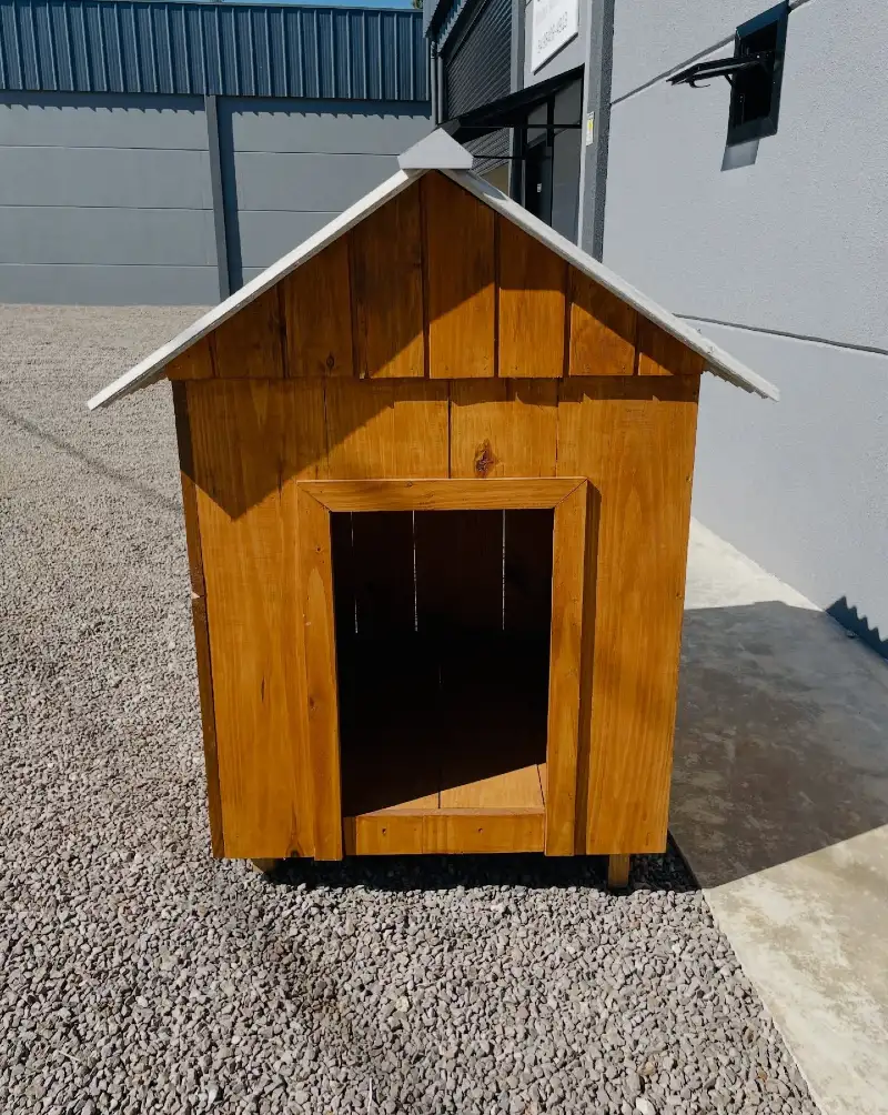 Golden Amber Board-and-Batten Kennel with White Pitched Roof and Gray Ridge Cap