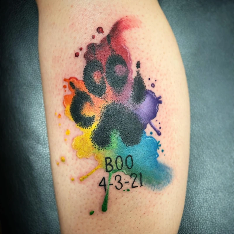 Granular Stippled Paw Print on Rainbow Watercolor Splash