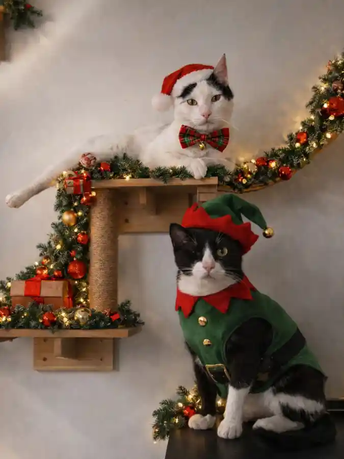 Green Felt Elf Tunic and Santa Accessories on Two Felines