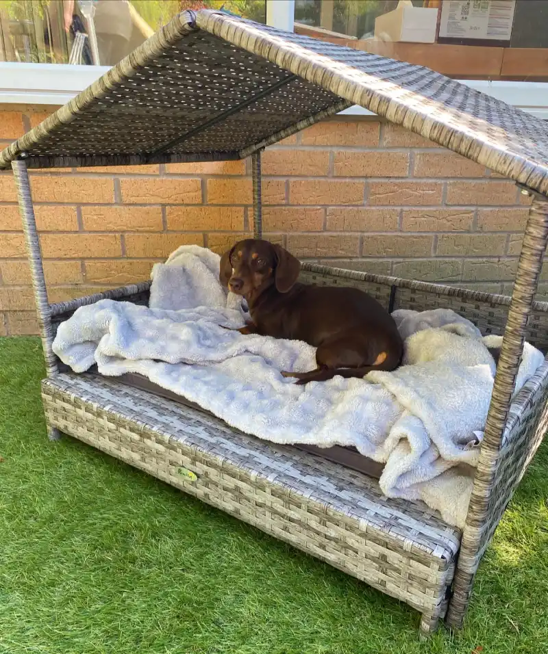 Grey Woven Wicker Pet Daybed with Gable Roof