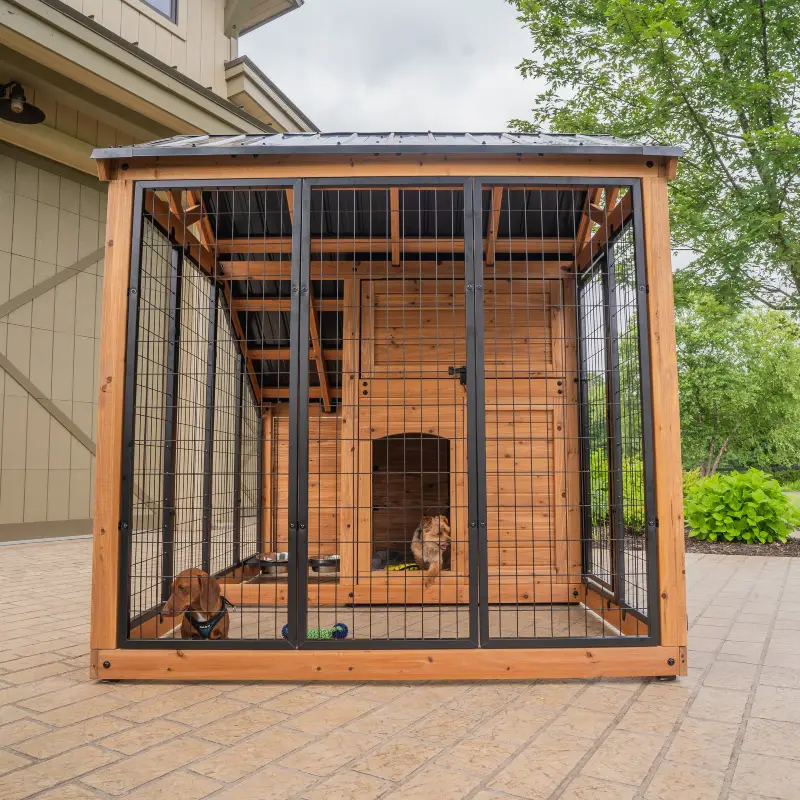 Heavy-Duty Covered Run with Integrated Wooden Dormer
