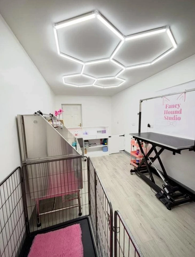 Hexagonal LED Ceiling Lighting Grid with Black Lift Table and Pink Safety Playpen