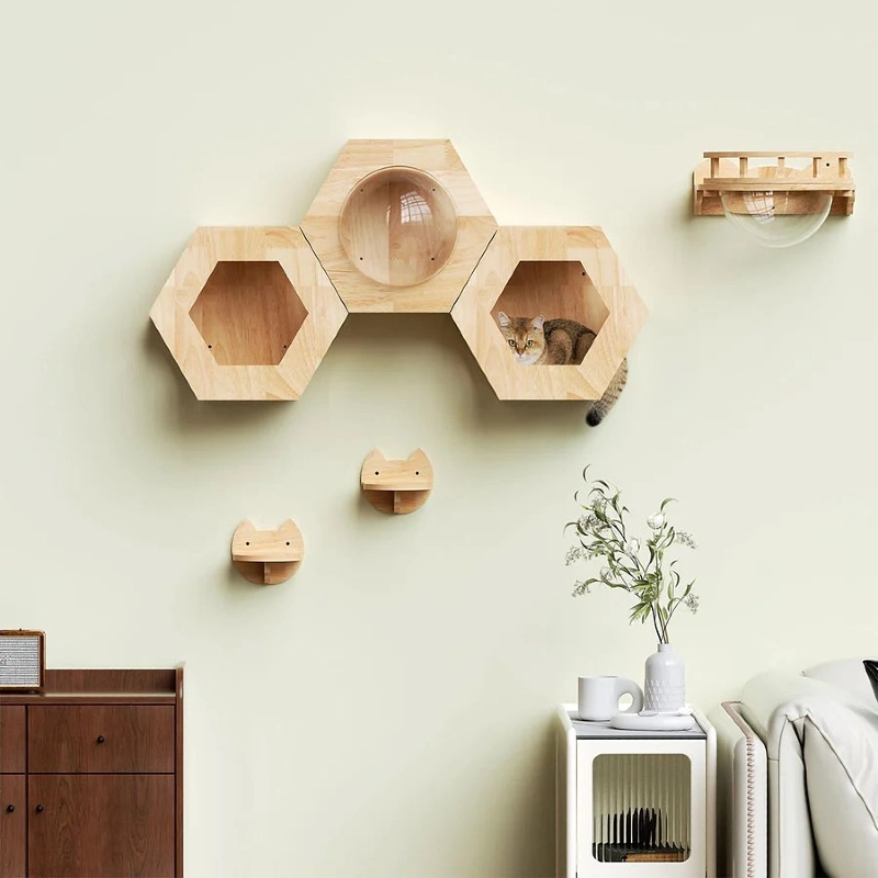 Hexagonal Natural Pine Cat Honeycombs with Acrylic Space Capsule Domes