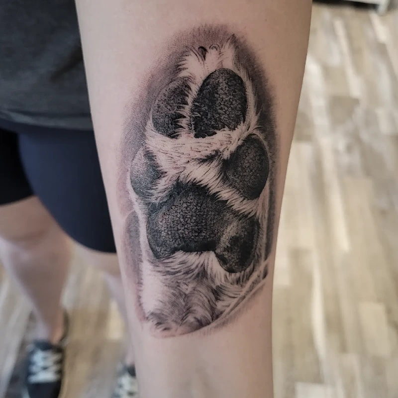 High-Contrast Anatomical Paw Print with Dense Stippled Pads