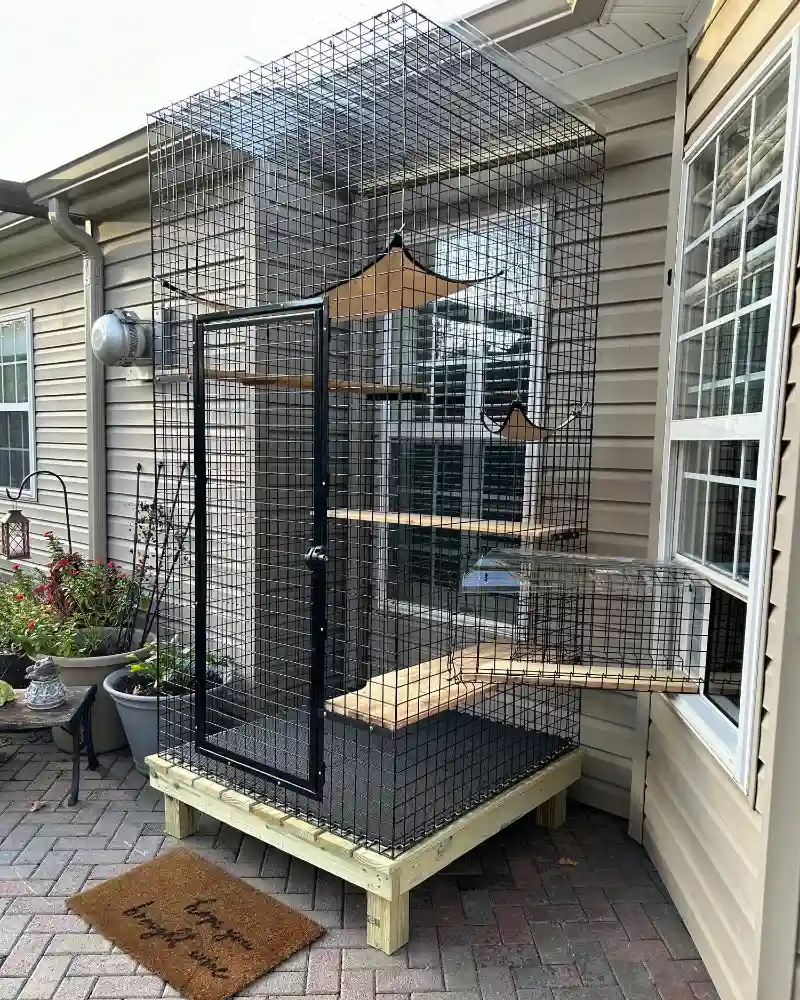 High-Rise Black Wire Catio with Window Tunnel Extension and Corner Hammocks