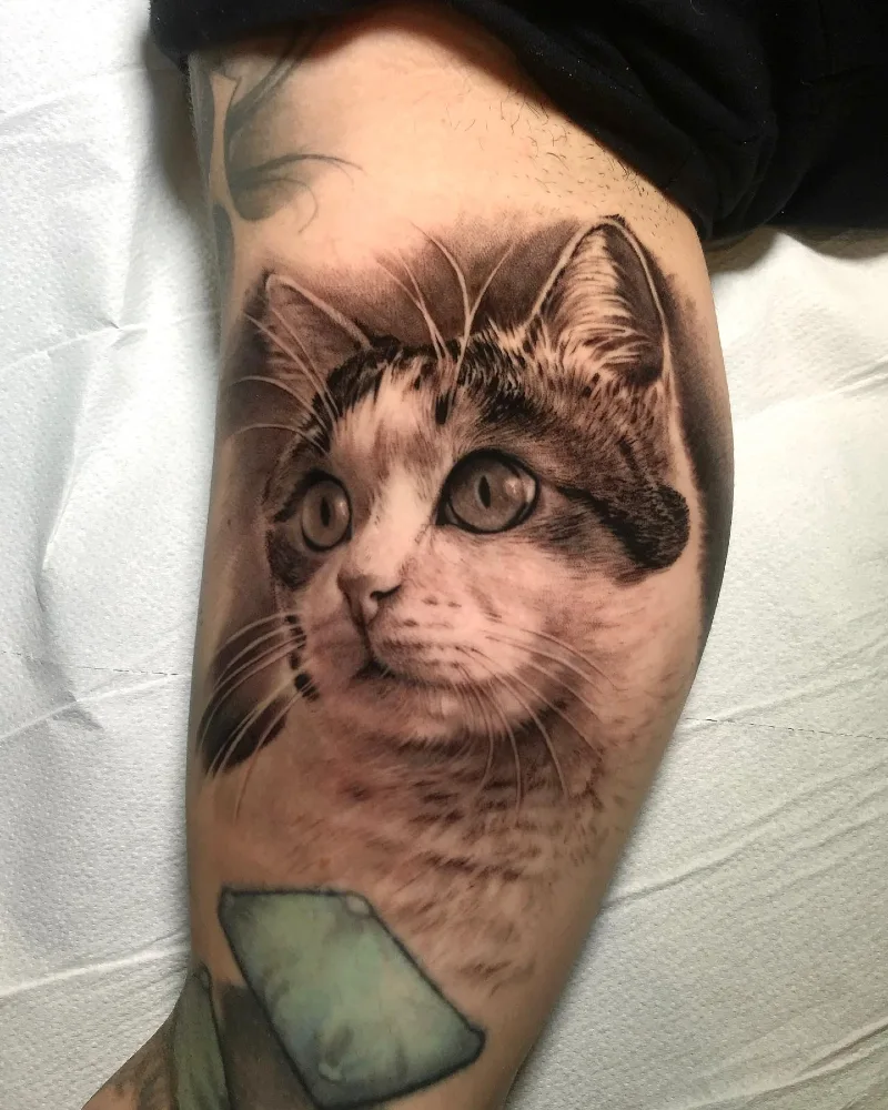 Hyper-Realistic Tabby Cat Portrait Tattoo with Dark Background Shading