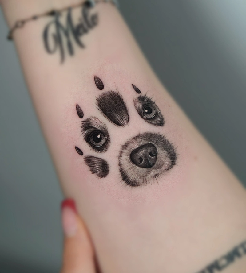Illustrative Portrait Hybrid Paw Print with Sharp Claws