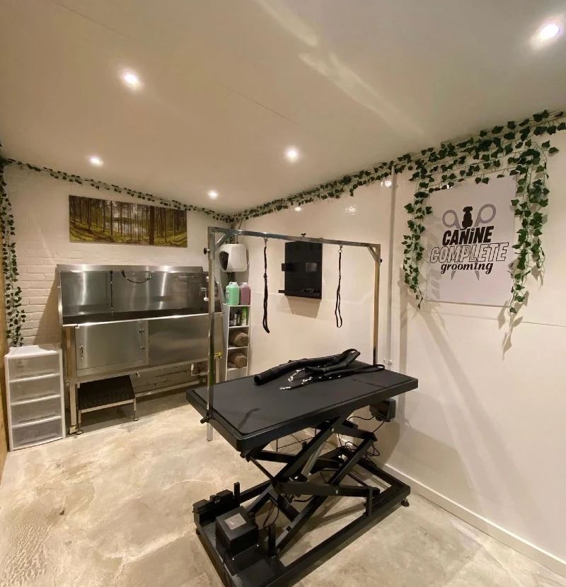 Industrial Stainless Steel Wash Basin with Black Electric Lift Table and Trailing Faux Ivy
