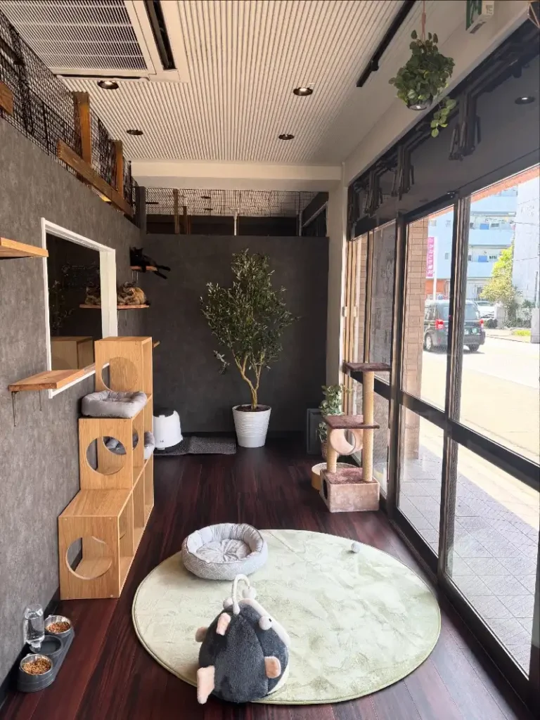 Industrial Street-View Lounge with Textured Charcoal Walls