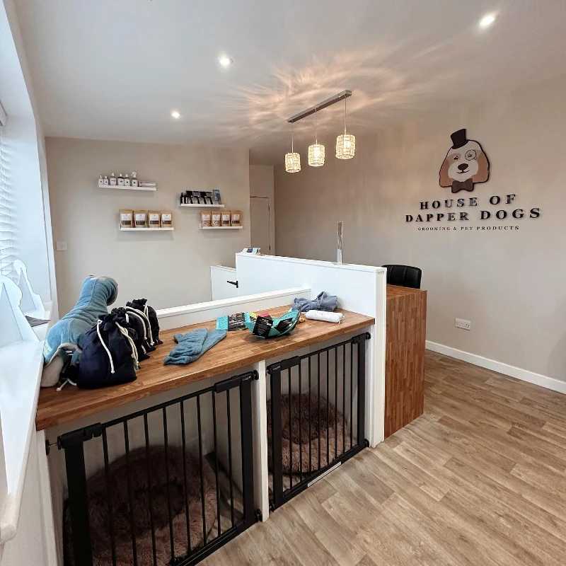 Integrated Wooden Countertop Station with Built-In Dog Kennels