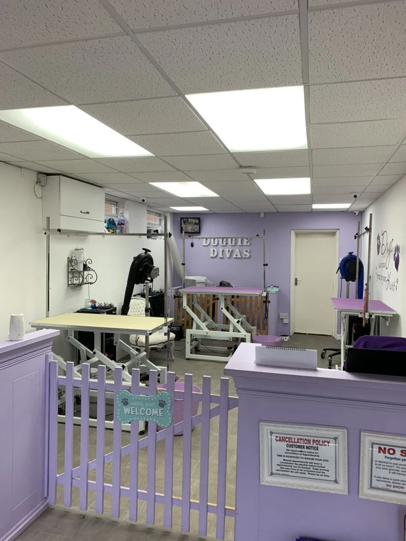 Lavender Picket Gate with Matching Reception Counter and White Hydraulic Lift Tables