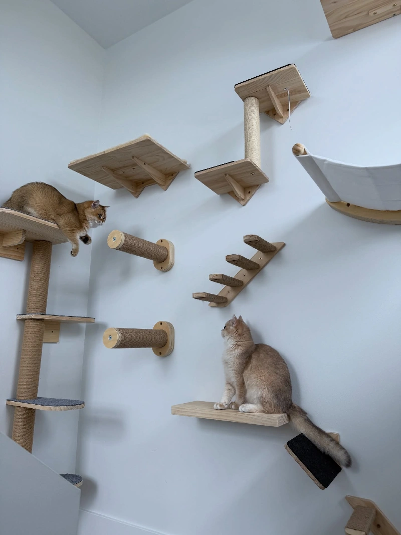 Light Wood Corner Climbing Array with Sisal Pegs and Fabric Hammock on Plain White Walls