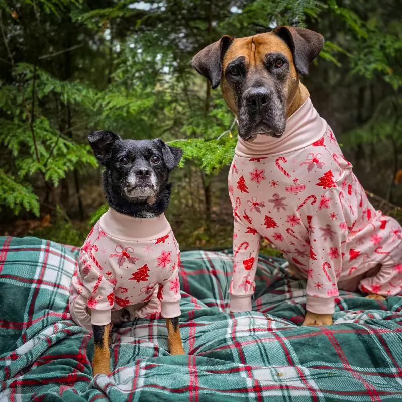 Matching Pastel Pink Holiday Pajamas on a Large Mixed Breed and a Small Terrier Mix