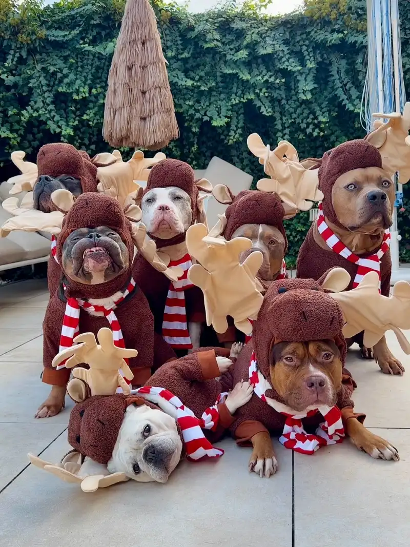 Matching Reindeer Fleece Jumpsuits and Striped Scarves