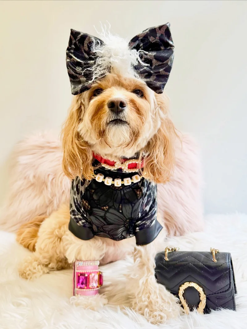 Metallic Leopard Print Shirt and Statement Bow on a Cavoodle