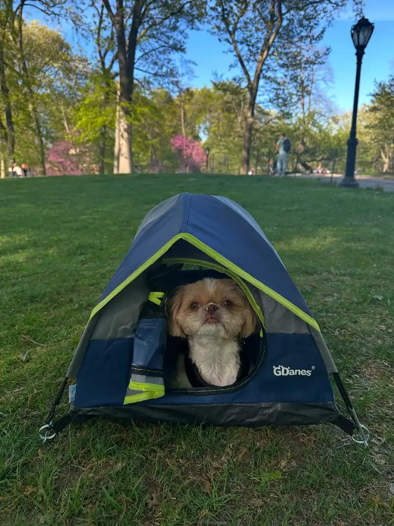 Miniature Navy and Grey Pop-Up Dog Tent